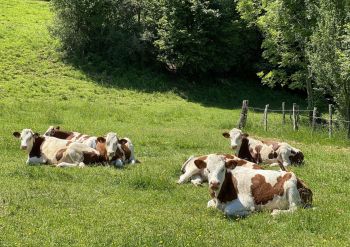 Randonnée aux environs du tremplin de Chaux Neuve Haut Doubs 