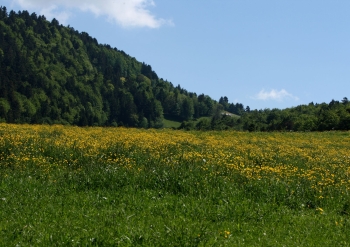 À la découverte de trois villages comtois