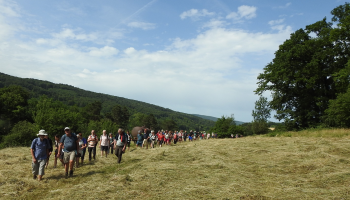 Mardi du CDRP - 16 juin