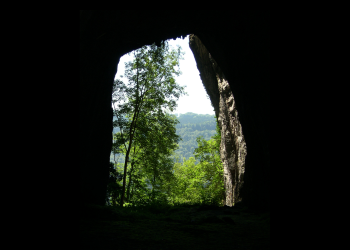 chateau roche