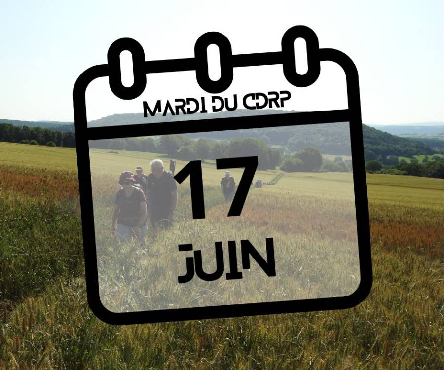 Retour sur le mardi du CDRP – 17 juin 2025